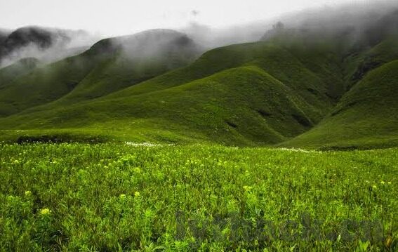 97人妻起碰免费公开视频-探索97人妻起碰的多元视角，从家庭到网络的界限