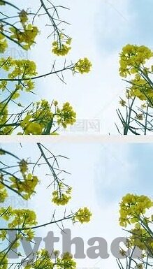 麻d传媒囯大象-麻d传媒与国之大象，文化传承与创新的双轨并行