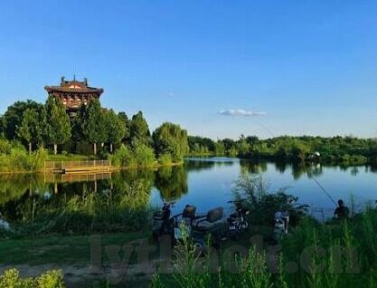 麻豆传媒2021-