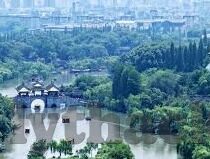 麻豆日记app全是广告-麻豆日记app——广告泛滥背后的真相