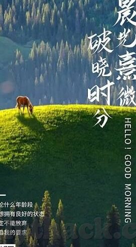 麻豆爽爽视频-玩味光影，揭秘麻豆爽爽视频的背后魅力
