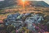 糖心vlog iOS-糖心vlog在iOS平台上的创新应用与用户体验探讨