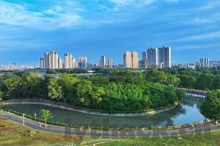 伊人久久精品一区二区三区-探索网络世界的多元魅力，伊人久久精品区之旅