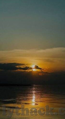 在线观看麻豆视频网站-穿越数字屏障，探寻麻豆视频的虚拟花园